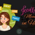 Feedback Meaning in Hindi