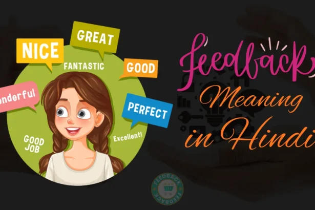 Feedback Meaning in Hindi