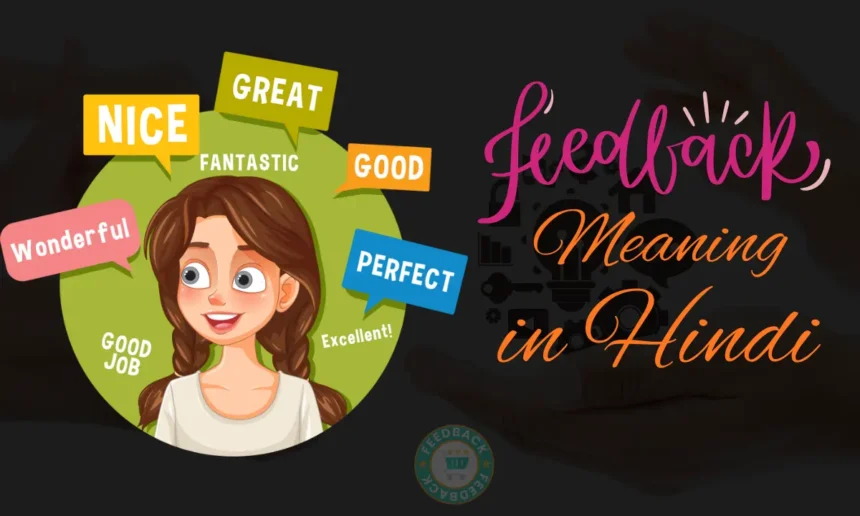 Feedback Meaning in Hindi
