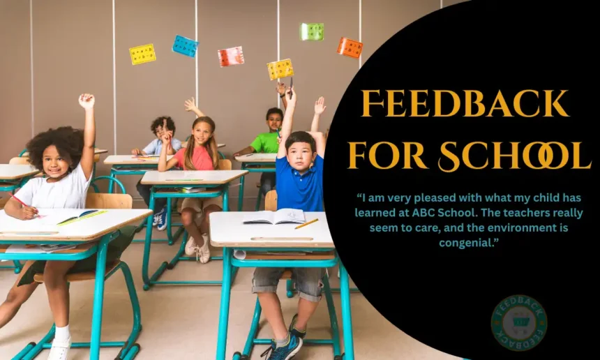 Feedback for School